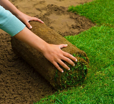sod-installation-stock-image-1024x683-1.jpg