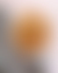 Creamy pumpkin coconut pasta with chives, served on a white plate with a fork — a cozy, dairy-free seasonal meal made with real, wholesome ingredients.