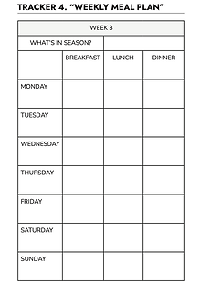 weekly food tracker