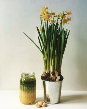 Layered pineapple, kiwi, and spinach smoothie in a glass jar beside a blooming pot of spring daffodils on a white background.