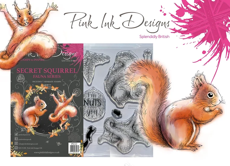 Pink Ink Designs - Secret Squirrel -  Buy 1 A5 stamp and get a bonus Dinky Pinky