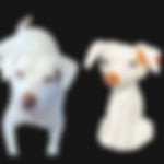 IMG_5836.jpeg