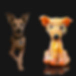 IMG_5838.jpeg