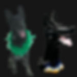 IMG_5837.jpeg
