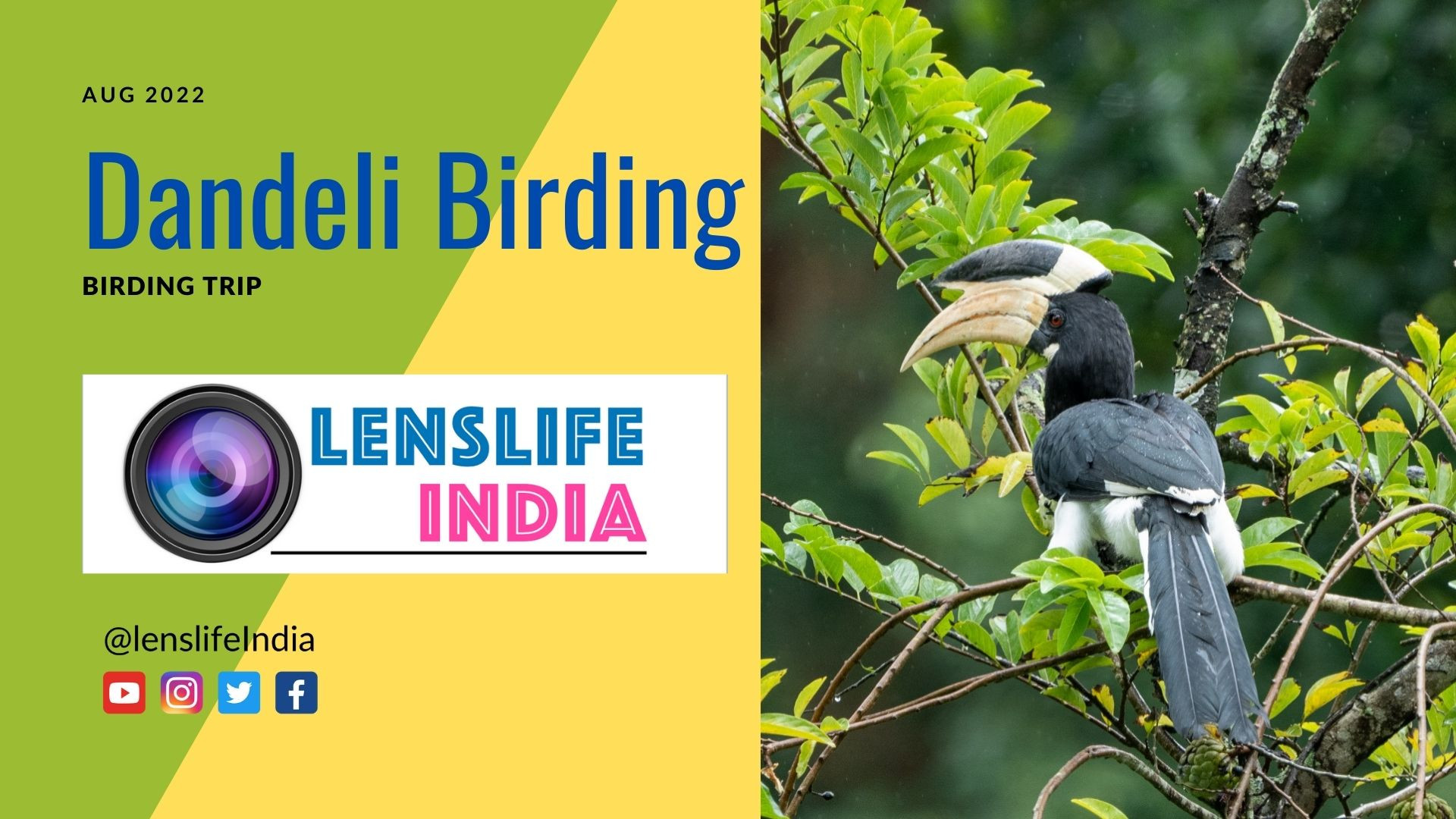 Dandeli Birding lenslifeIndia