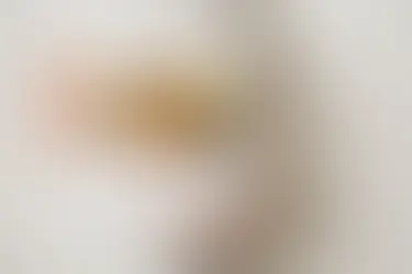 Optimal Nutrition during Surrogacy