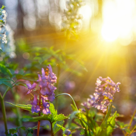 How To Be Your Own Skin Detective