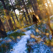 The Pros And Cons of Winter Sun