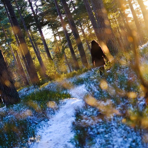 The Pros And Cons of Winter Sun