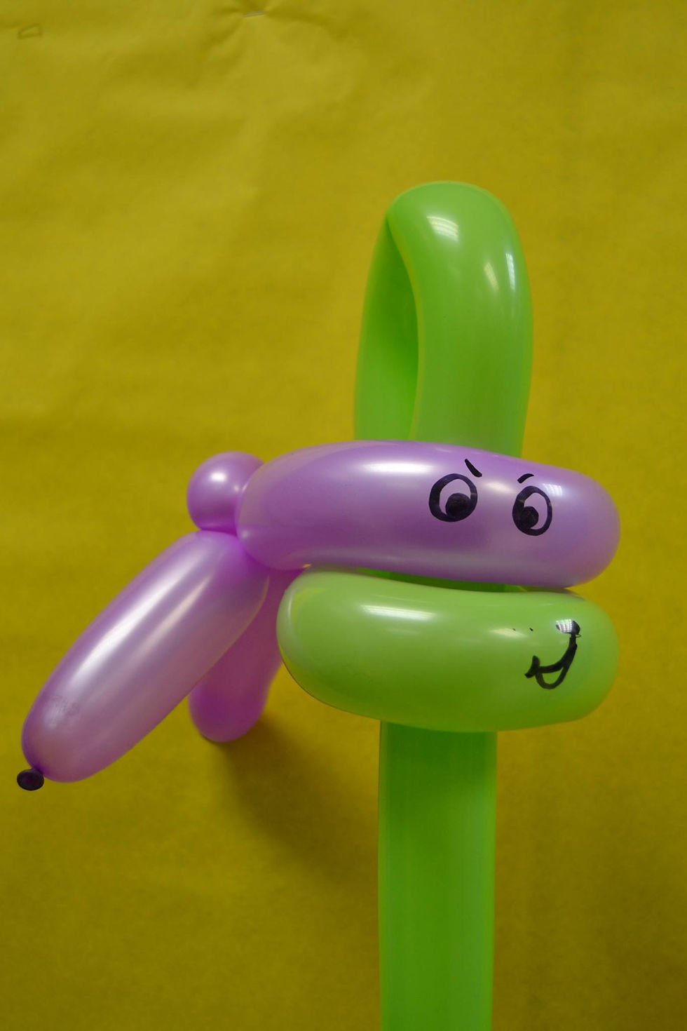 Balloon Ninja Turtle Donatello