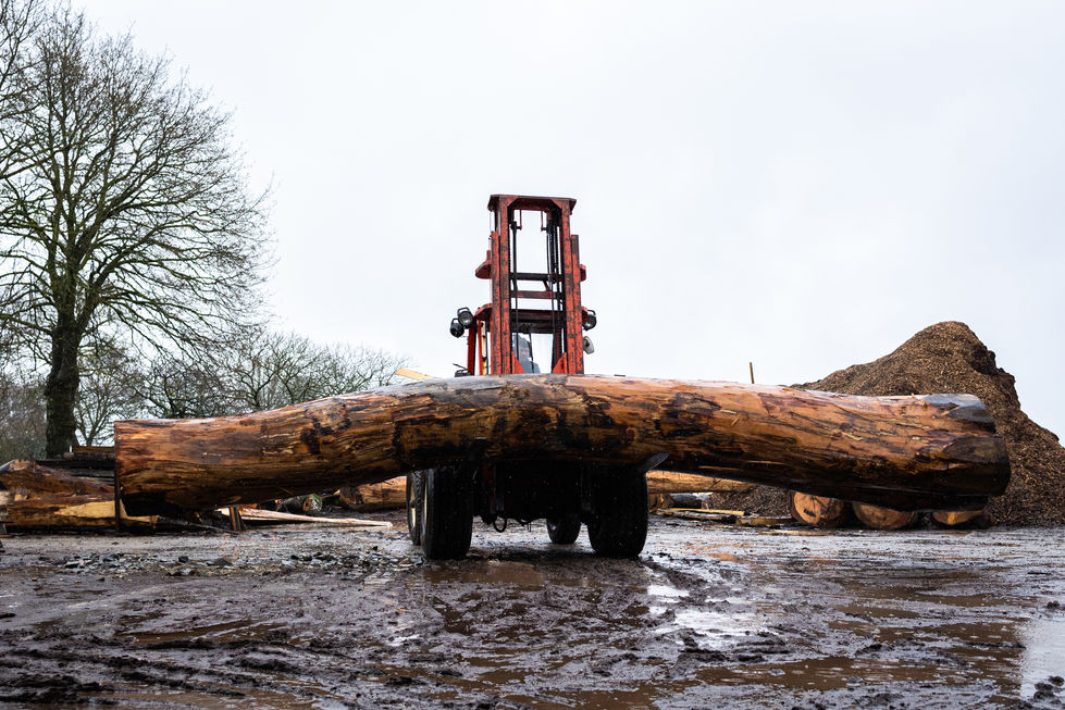 LaScierieDesGeants-048