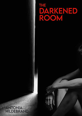The Darkened Room.jpeg