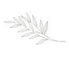 Brown olive leaf_edited.png