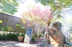 撮影場所：一茶双樹記念館