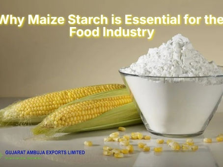 Why Maize Starch is Essential for the Food Industry