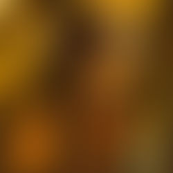 Ash Is Purest White: A Wonderful Chinese-Language Drama