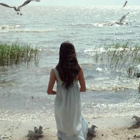 Where The Crawdads Sing: Beautiful But Unfocused