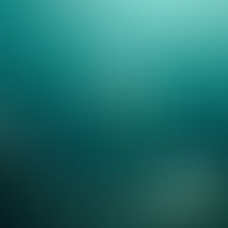 Don't Breathe: An Effective, Tense Thriller