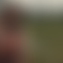 Blue Ruin: A Stripped-Down, Effective Revenge Drama