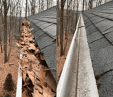 Gutter cleaning services St. Louis
