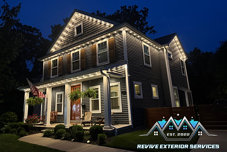 Govee light installer St. Louis