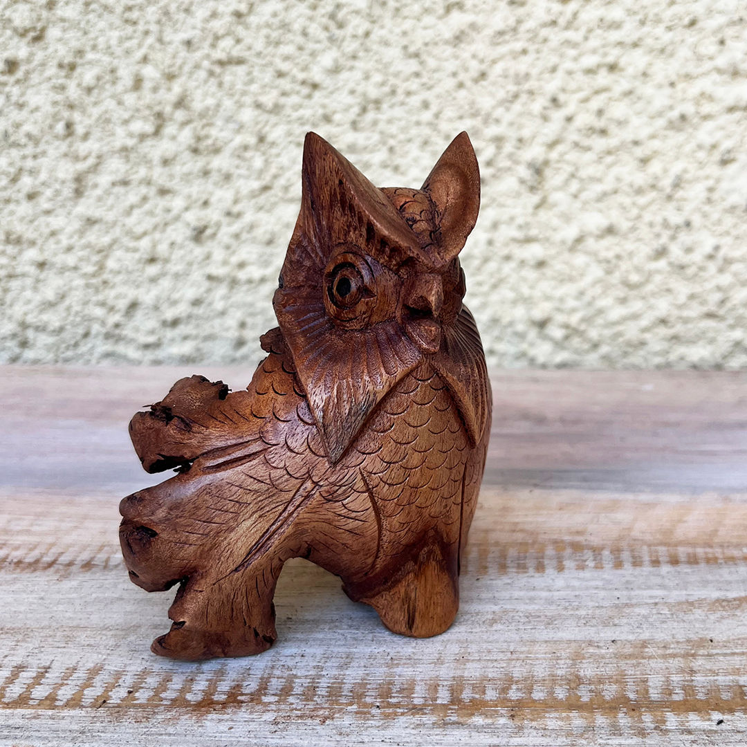 Κουκουβάγια σε ρίζα