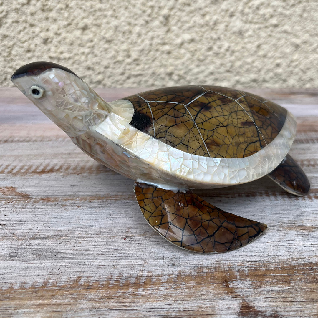 Χελώνα Φίλντισι