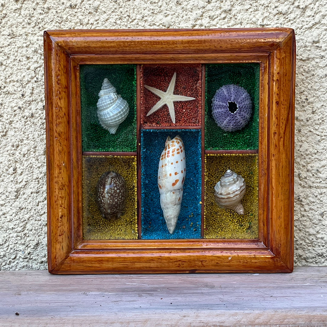 Κάδρο με κοχύλια