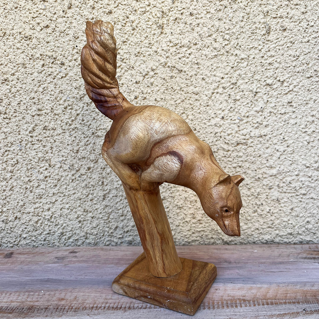 Σκίουρος σε στάντ