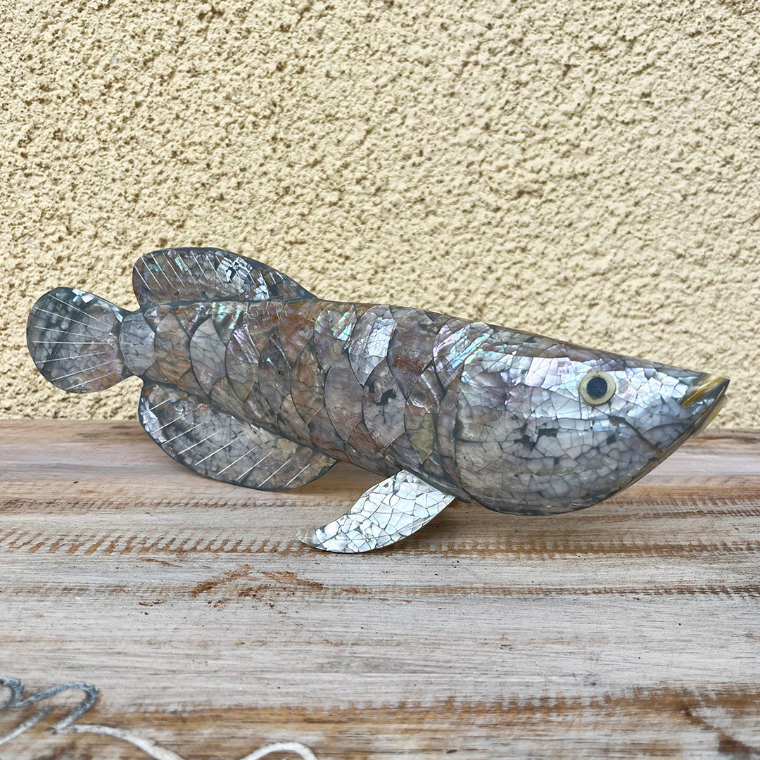 Ψάρι φίλντισι λευκό