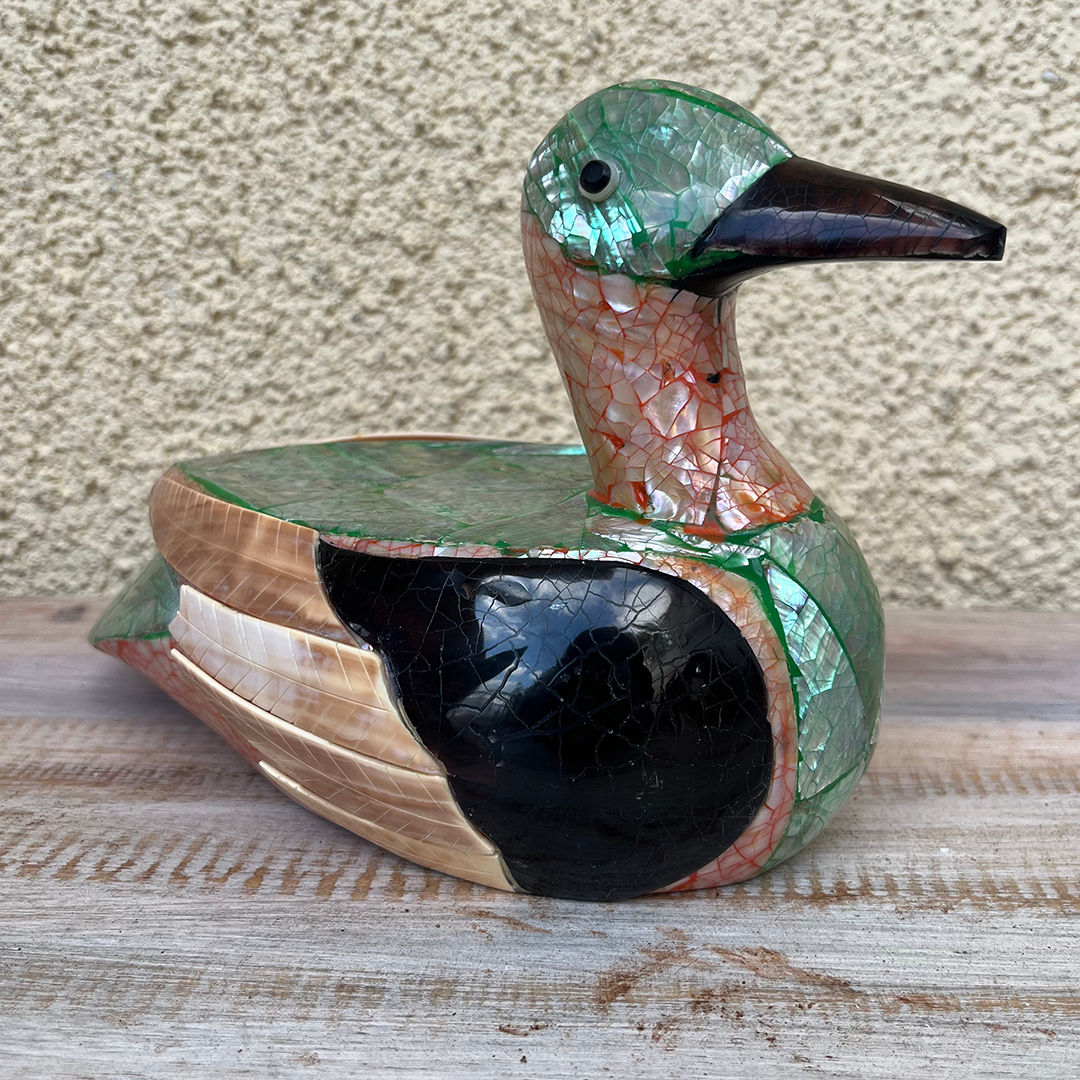 Πάπια Φίλντισι