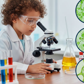 Microscópio para crianças: vale a pena?