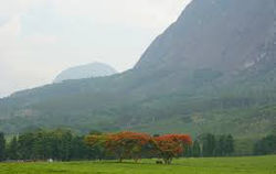 images-6