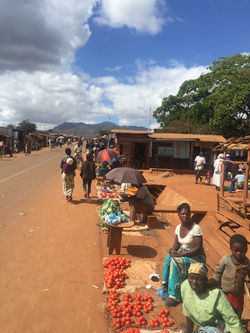 Malawi