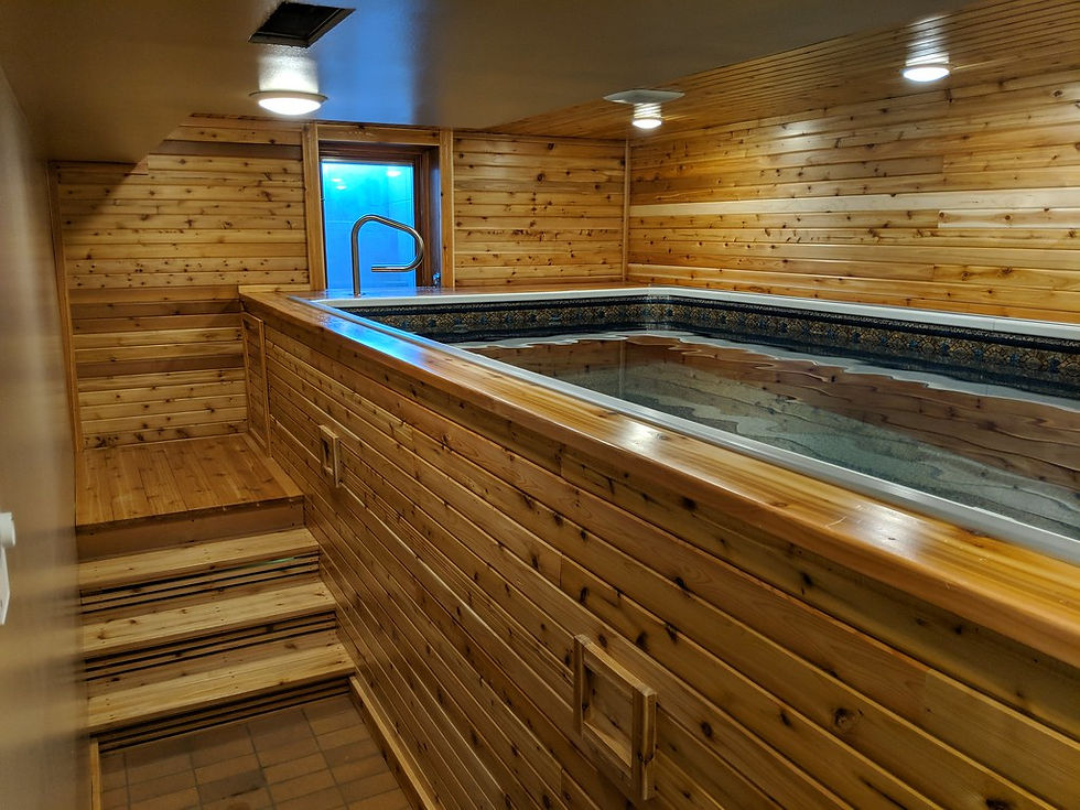 una endless pool fuori terra in interno