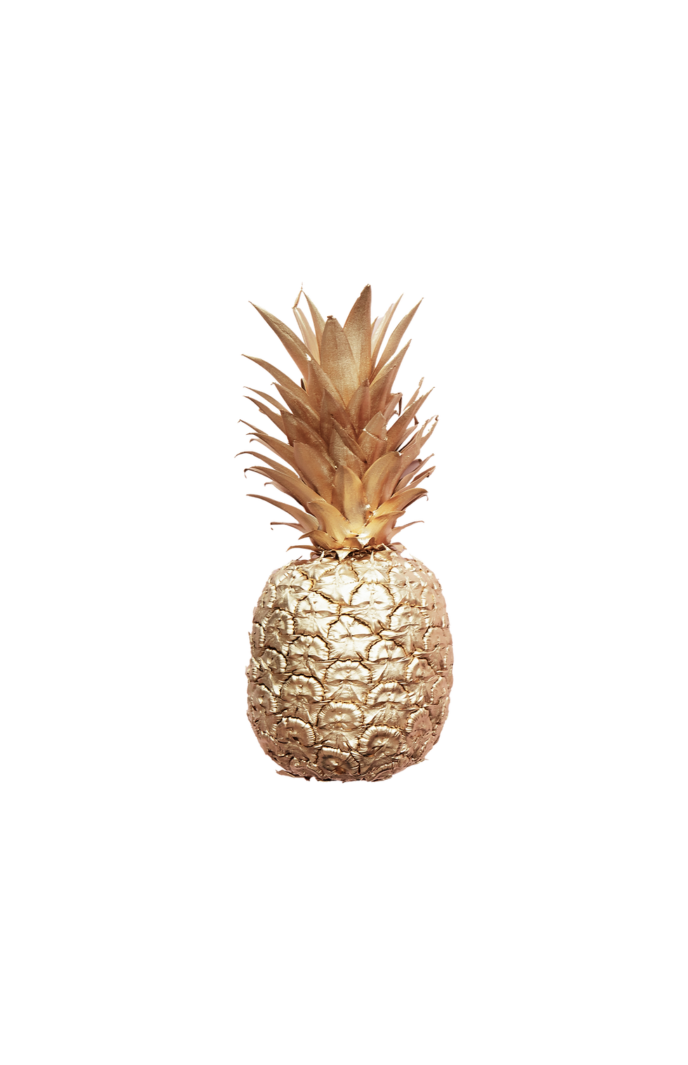 pinaple.png