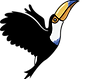 Botw - flying wihtout name.png