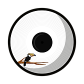 bird vinyls-01.png