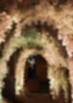 WEDDING_GRACE_DEAN_3_4_5_NOVEMBER_2022.8486.jpg