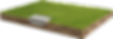 svg.png