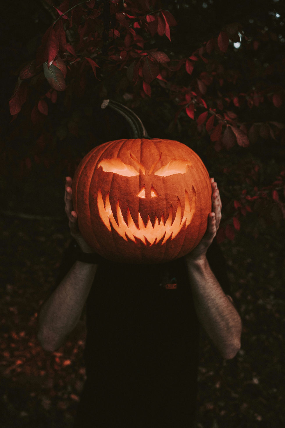 10 Best Things to Do in Anaheim for Spooky Season 2026