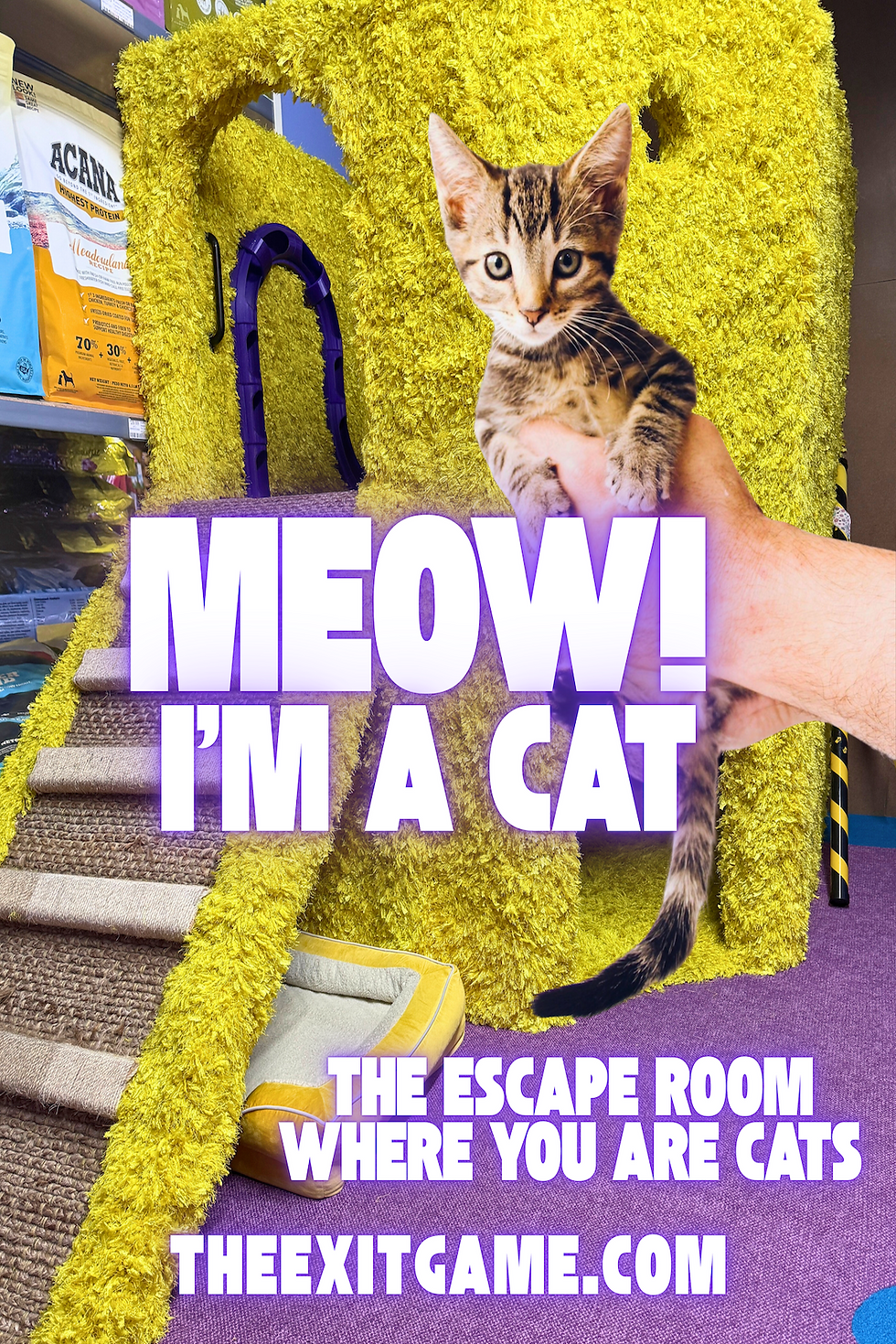 Cartoons cats in cubby playing with red herring