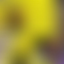 Best Escape Rooms Near Disneyland (2026 Guide)