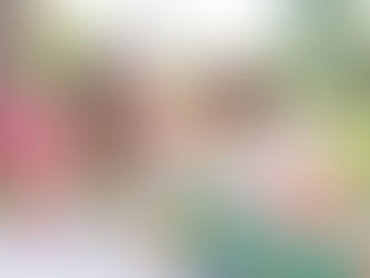 Daniely dia das mães 2019