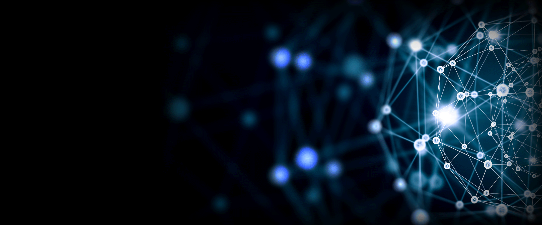 network-ant.gif