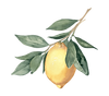 EB1BAEDB-EA56-4585-985B-032B0FCE6C8A.png