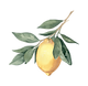 EB1BAEDB-EA56-4585-985B-032B0FCE6C8A.png