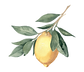 EB1BAEDB-EA56-4585-985B-032B0FCE6C8A.png