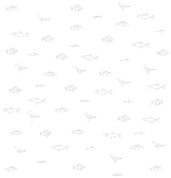 Pesce Illustrazione