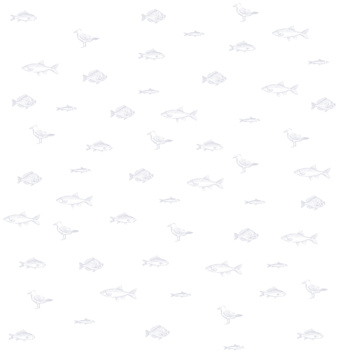 魚のイラスト